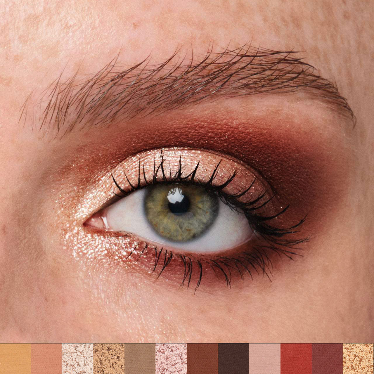 Color Eyeshadow Palette