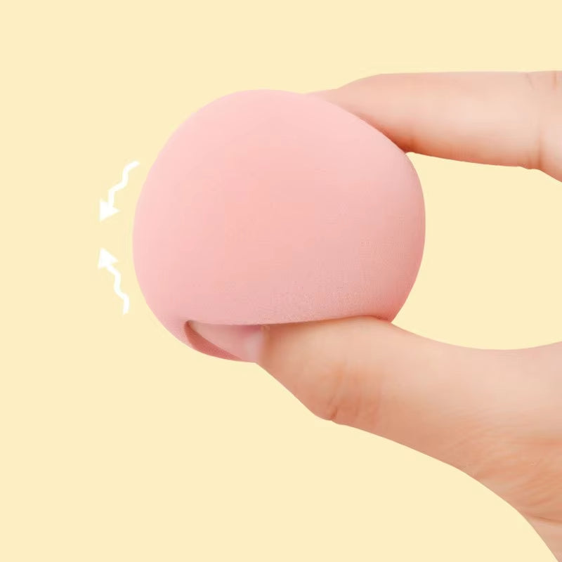 Professional Makeup Sponge Blender